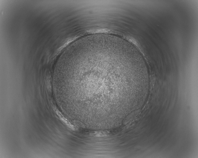 X0000079290345200612011730