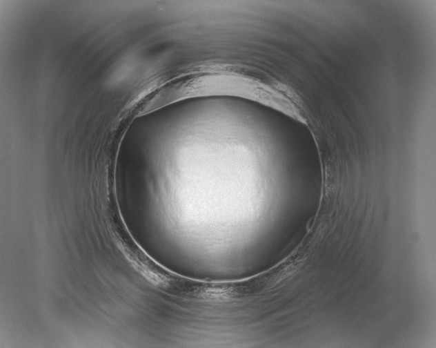 X0000079290349200612011730