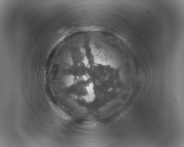 X0000079290351200612011730