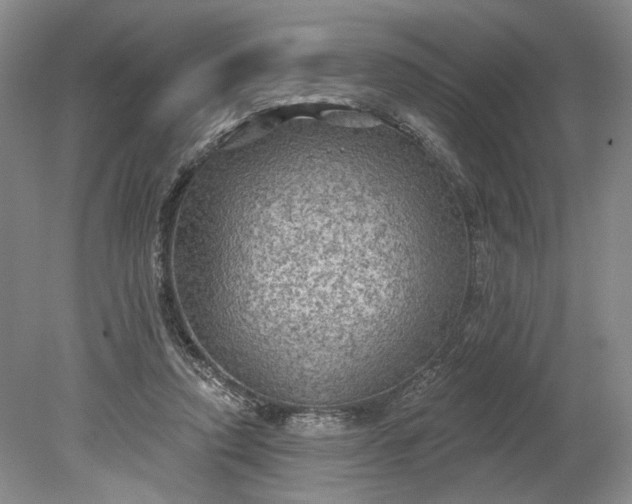 X0000079290354200612011730