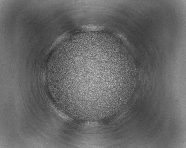 X0000079290357200612011730