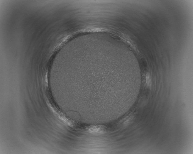 X0000079290358200612011730