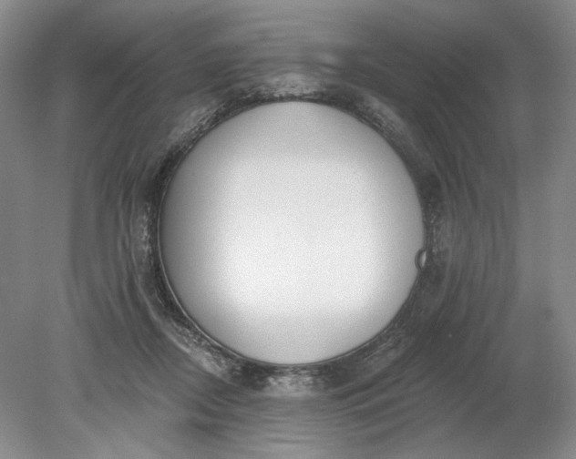 X0000079290362200612011730