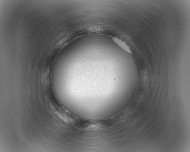 X0000079290364200612011730