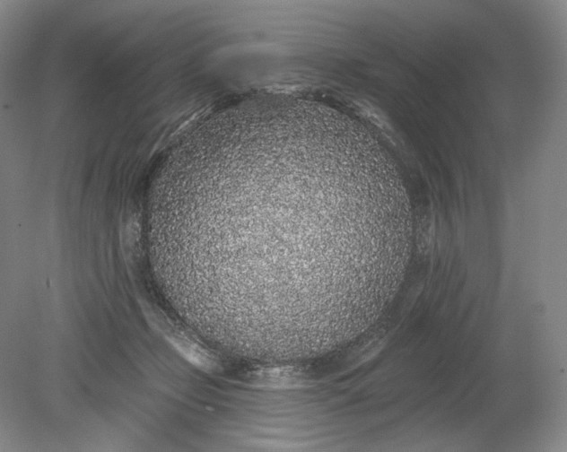 X0000079290365200612011730