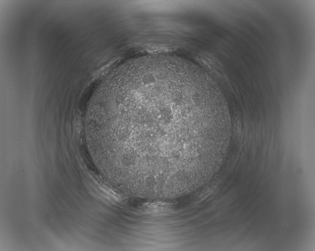 X0000079290367200612011730