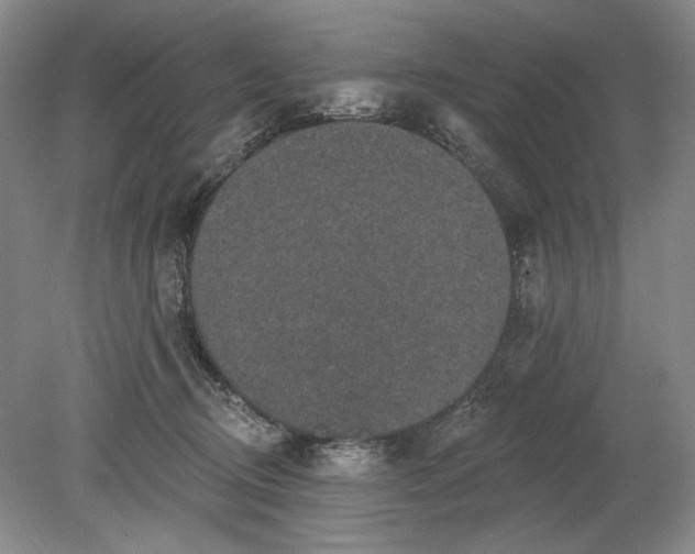 X0000079290370200612011730