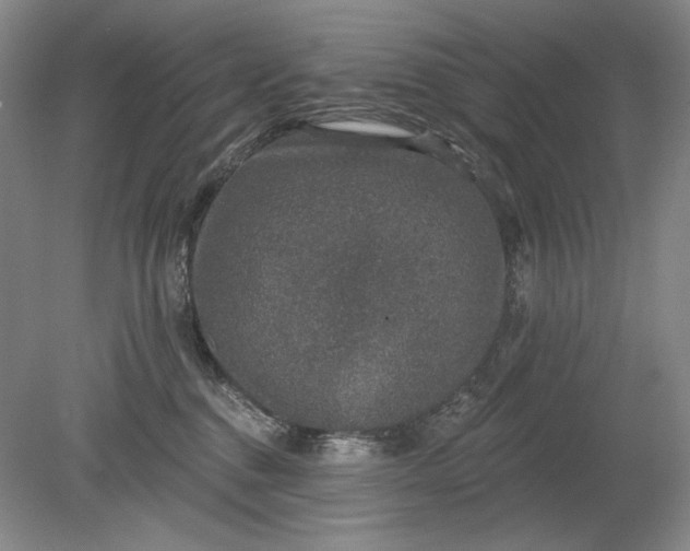 X0000079290376200612011730