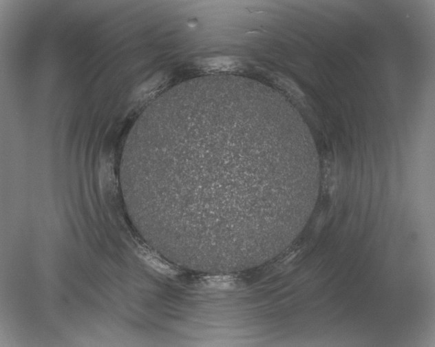 X0000079290377200612011730