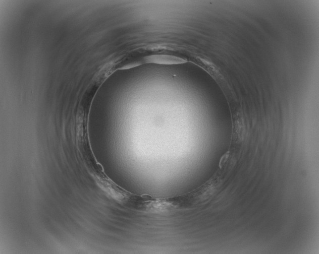 X0000079290379200612011730