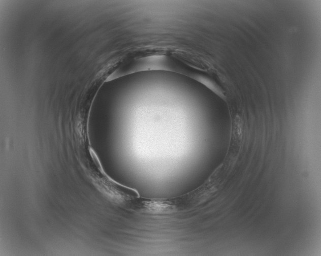 X0000079290380200612011730