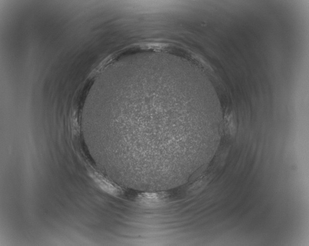 X0000079290381200612011730