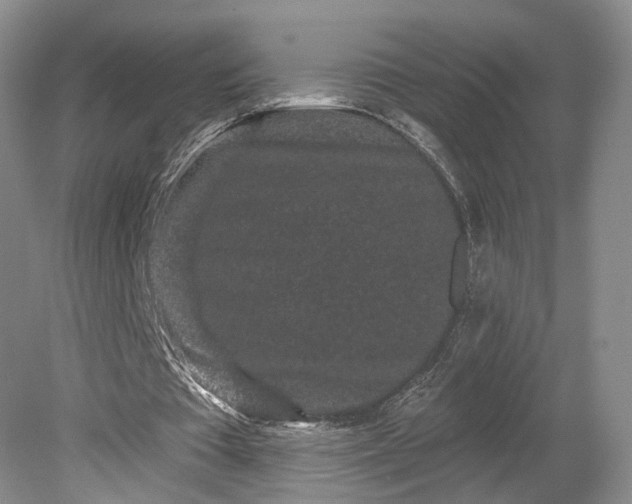 X0000079290385200612011729