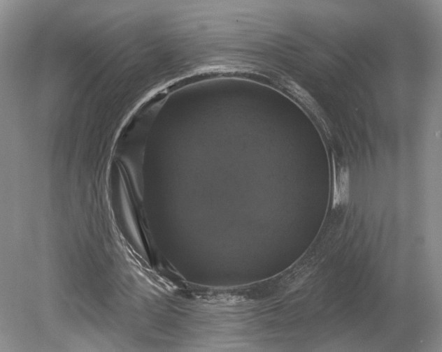 X0000079290387200612011729
