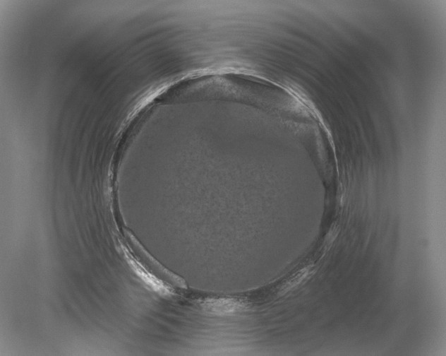 X0000079290389200612011729