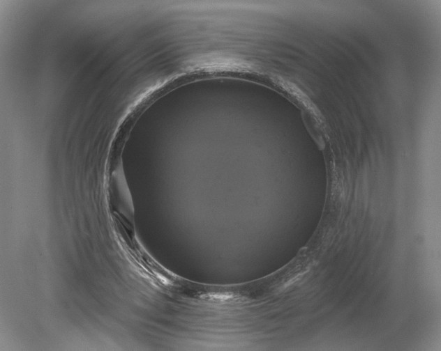 X0000079290391200612011729