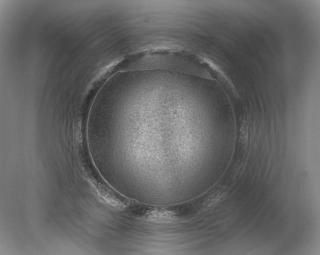X0000079290403200612011729