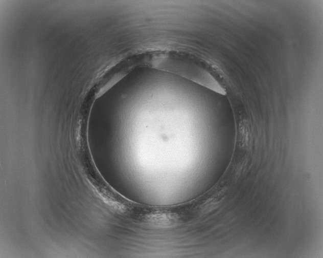 X0000079290404200612011729