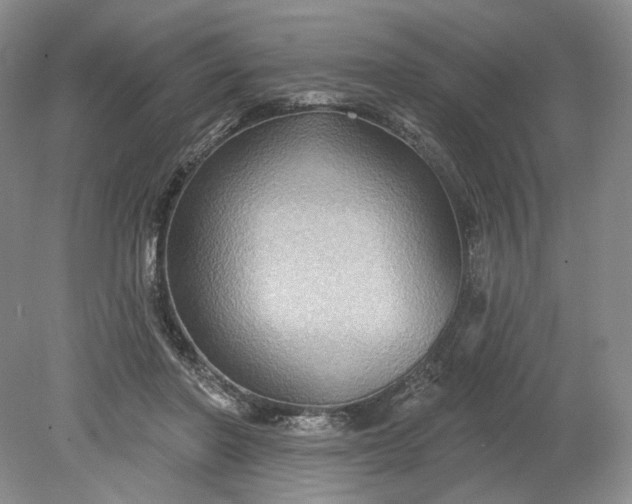 X0000079290406200612011729