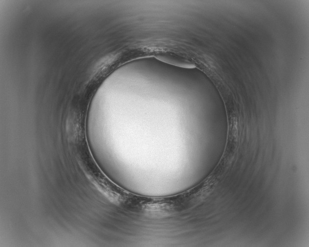 X0000079290408200612011729
