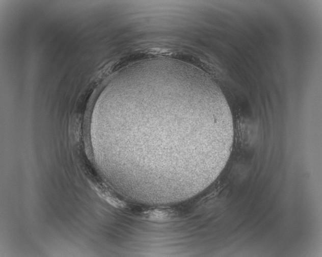 X0000079290412200612011729