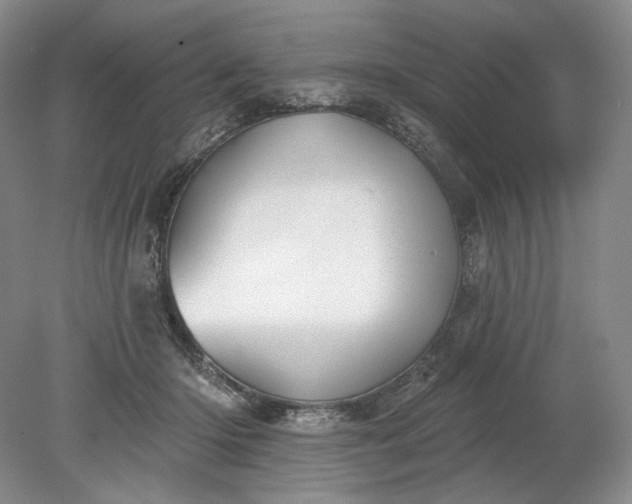 X0000079290414200612011729
