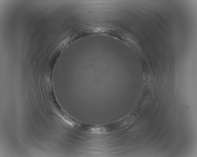 X0000079290415200612011729