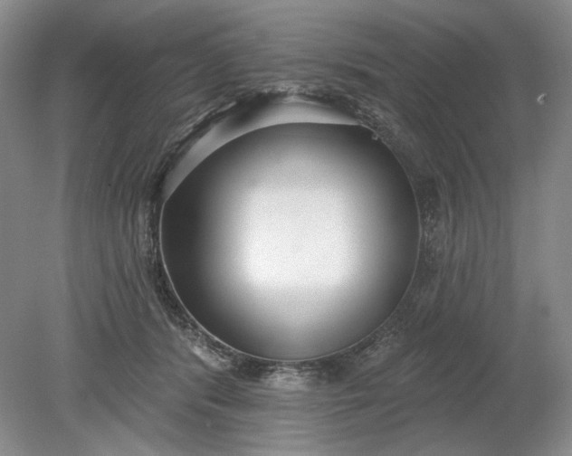 X0000079290416200612011729