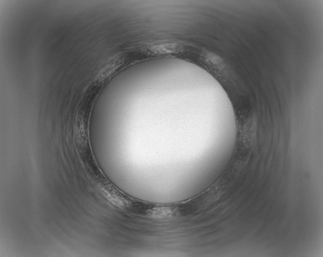 X0000079290418200612011729