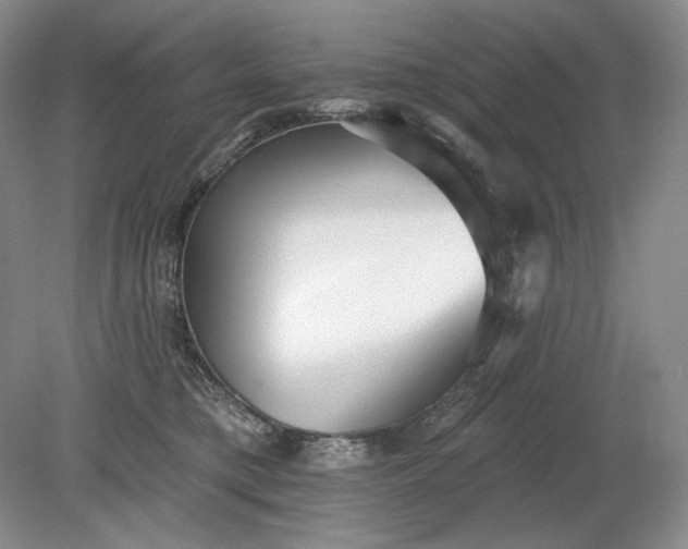 X0000079290421200612011729