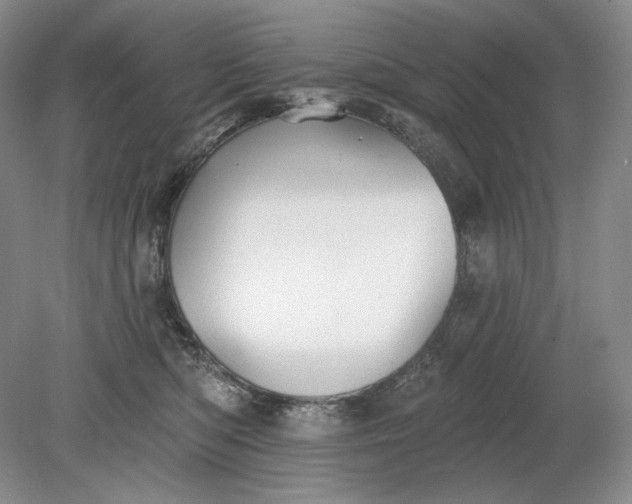 X0000079290422200612011729
