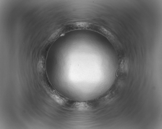 X0000079290424200612011729