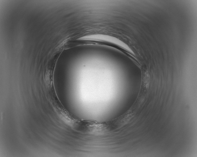 X0000079290428200612011729