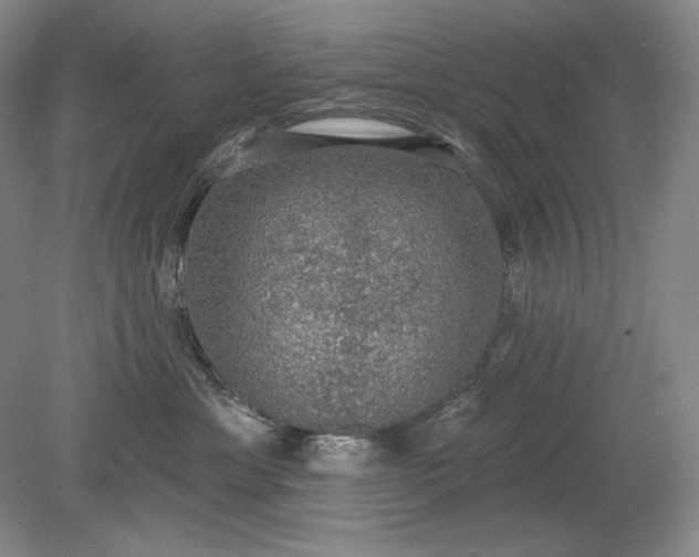 X0000079290429200612011729