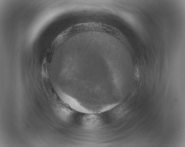 X0000079290431200612011729