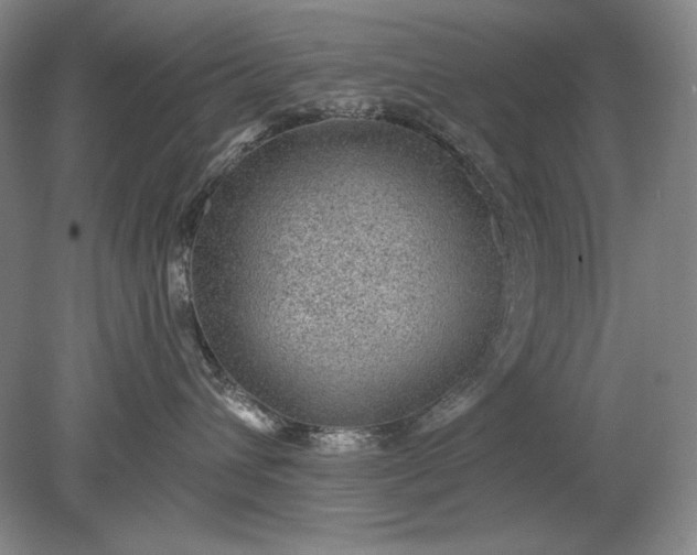 X0000079290432200612011729