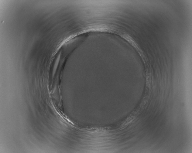 X0000079290434200612011728