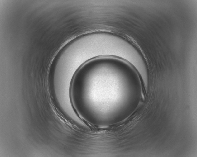 X0000079290435200612011728