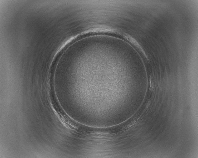 X0000079290436200612011728