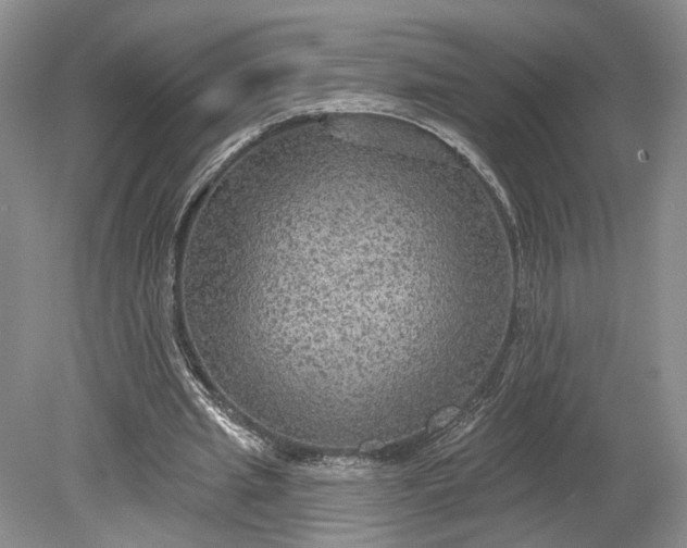 X0000079290437200612011728