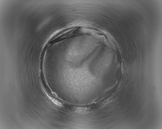 X0000079290438200612011728