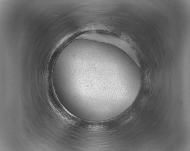 X0000079290440200612011728