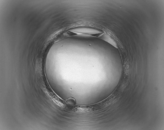 X0000079290442200612011728