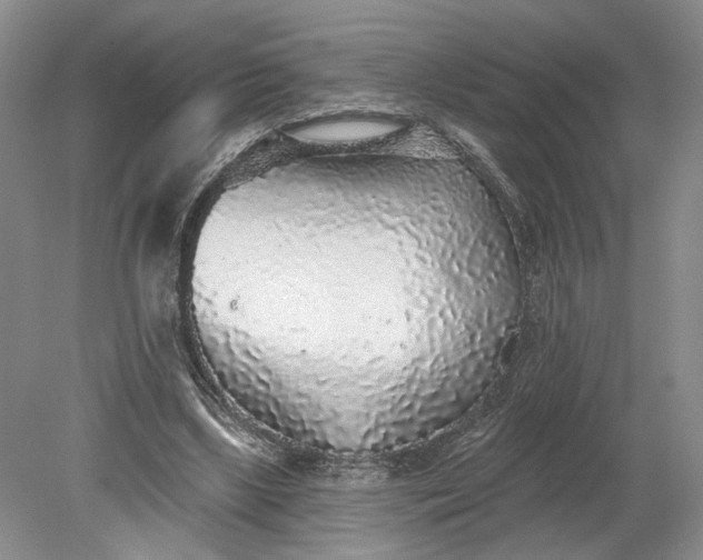 X0000079290443200612011728