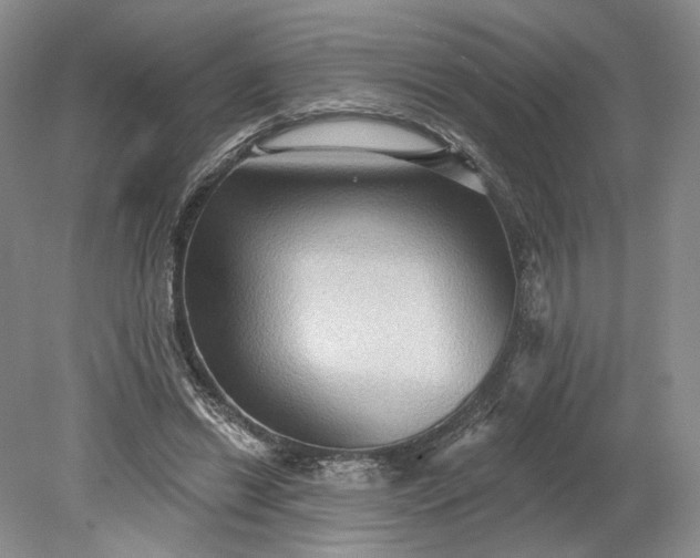 X0000079290446200612011728