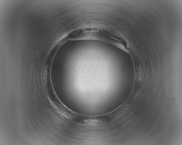 X0000079290448200612011728