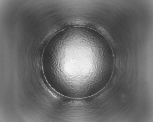 X0000079290449200612011728