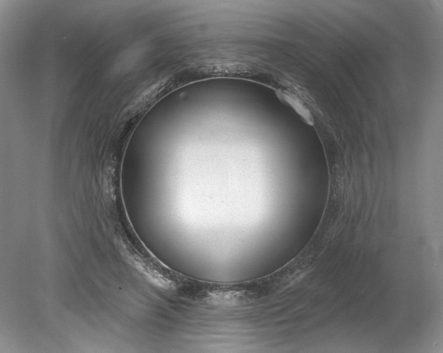 X0000079290450200612011728