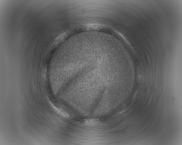 X0000079290451200612011728
