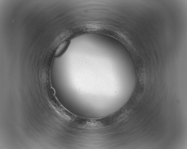 X0000079290455200612011728
